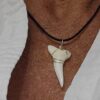 Mako Shark's Tooth Necklace