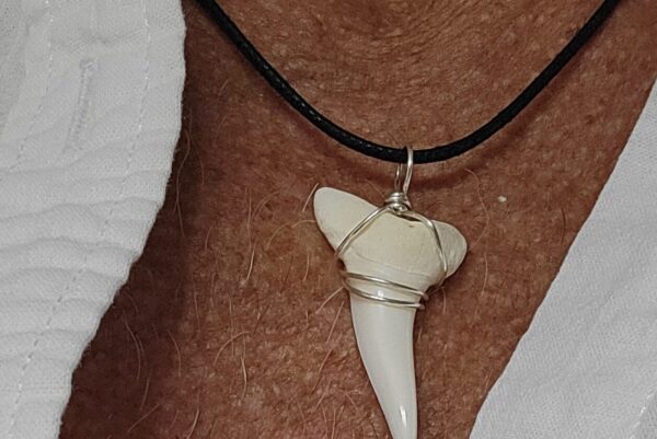 Mako Shark's Tooth Necklace