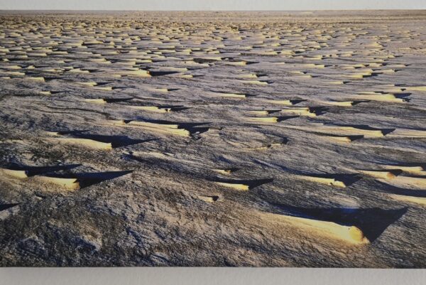 Shells in the Sand Canvas Print – 8″X 14″ – Free Shipping USA