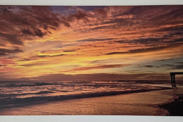 Canvas Print 16″x30″ Free Shipping USA