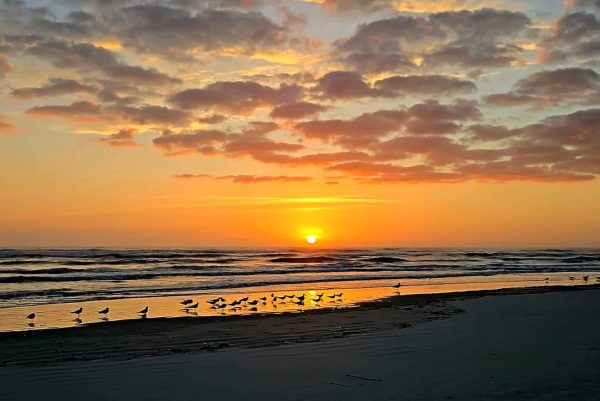 Sunrise Magic 1 - 16X20 Canvas Print